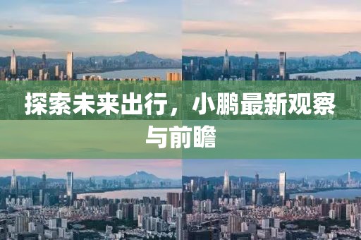最新小鹏看