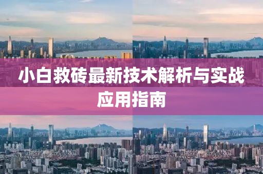 小白救砖最新