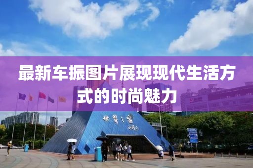 最新车振图片