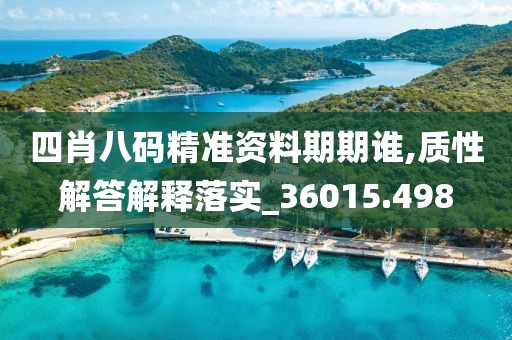 四肖八码精准资料期期谁,质性解答解释落实_36015.498