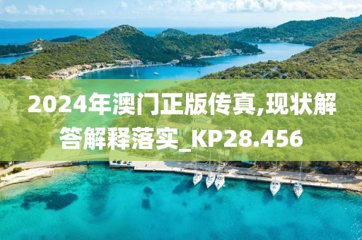 2024年澳门正版传真,现状解答解释落实_KP28.456