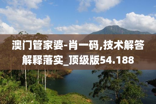 澳门管家婆-肖一码,技术解答解释落实_顶级版54.188
