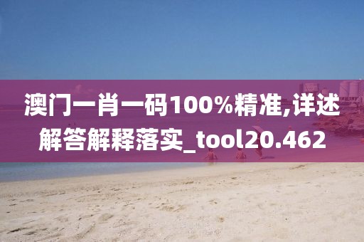 澳门一肖一码100%精准,详述解答解释落实_tool20.462