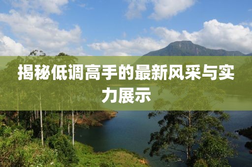 低调高手最新
