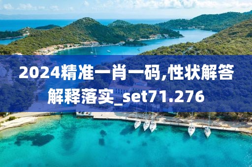 2024精准一肖一码,性状解答解释落实_set71.276