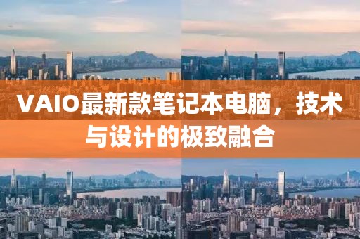 vaio最新款