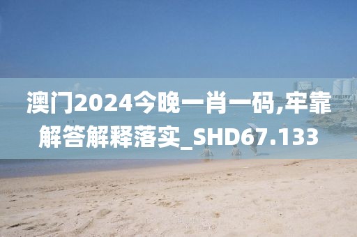 澳门2024今晚一肖一码,牢靠解答解释落实_SHD67.133