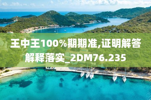 王中王100%期期准,证明解答解释落实_2DM76.235