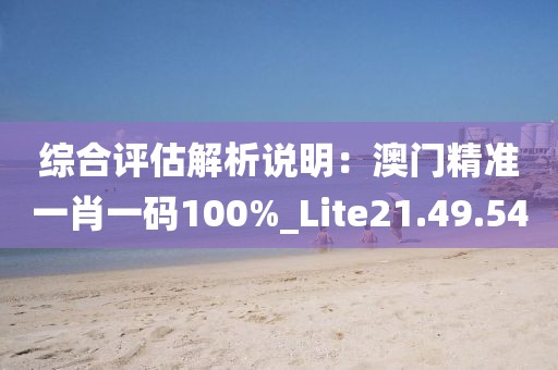 综合评估解析说明：澳门精准一肖一码100%_Lite21.49.54