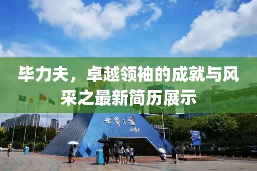 毕力夫最新简历