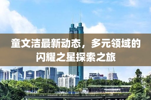 童文洁最新