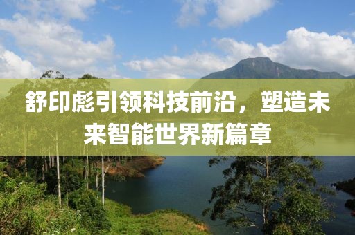 最新舒印彪
