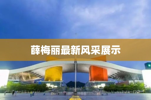 最新薛梅丽
