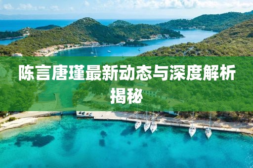 陈言唐瑾最新