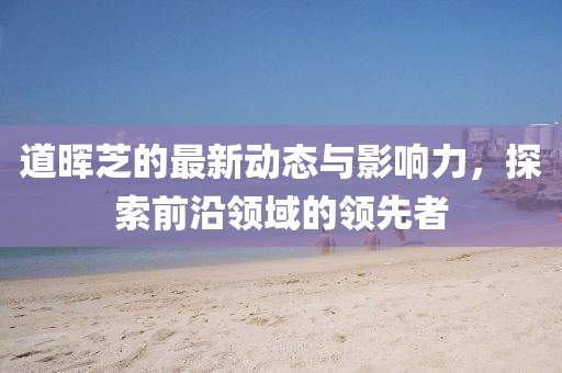 道晖芝最新