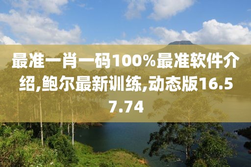 最准一肖一码100%最准软件介绍