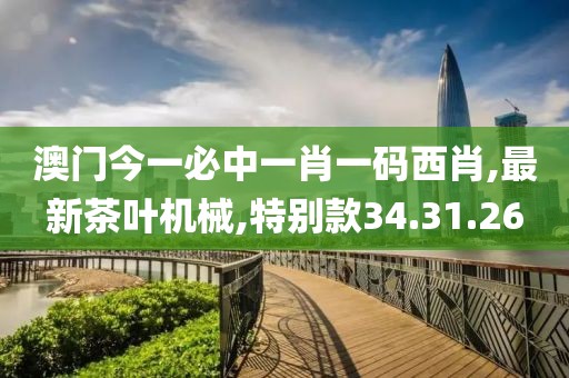 最新茶叶机械