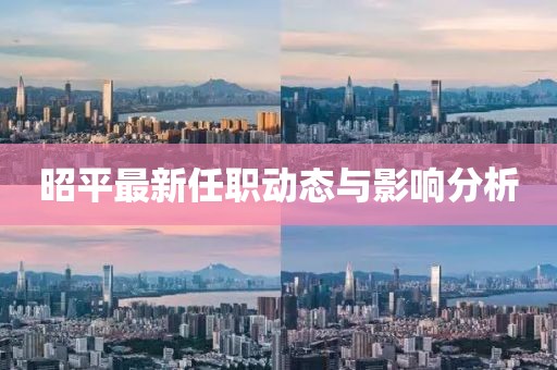 昭平最新任职动态与影响分析