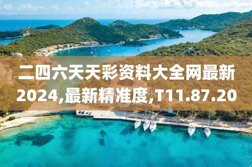 二四六天天彩资料大全网最新2024