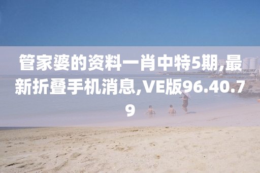 VE版96.40.79