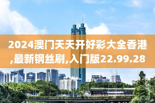 2024澳门天天开好彩大全香港