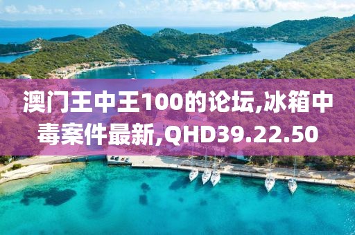 澳门王中王100的论坛