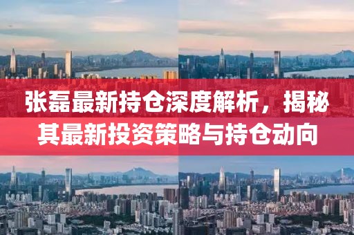 张磊最新持仓
