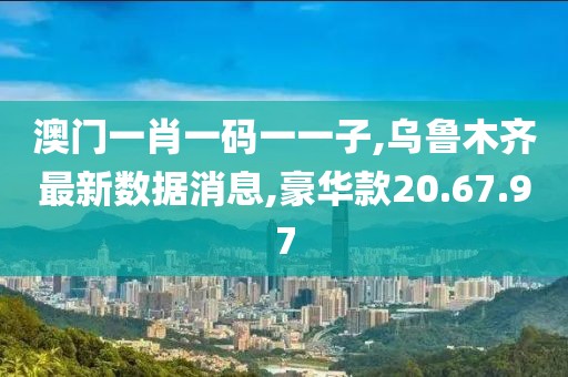 豪华款20.67.97