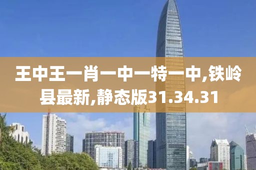 王中王一肖一中一特一中