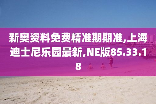 NE版85.33.18