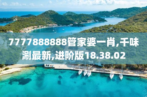 进阶版18.38.02