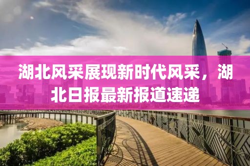 湖北日报最新