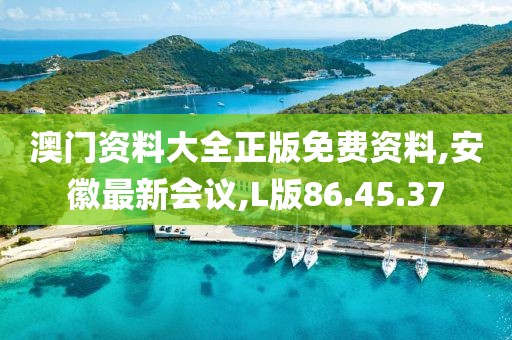 L版86.45.37