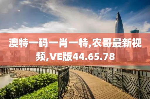农哥最新视频