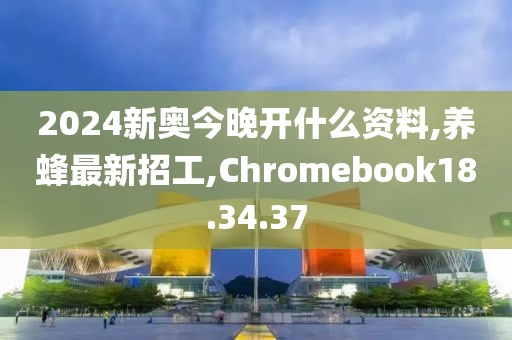 2024新奥今晚开什么资料