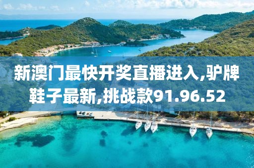 驴牌鞋子最新