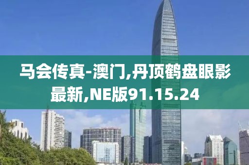 NE版91.15.24