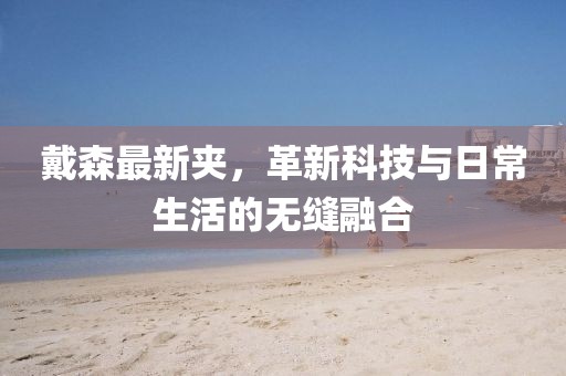 戴森最新夹