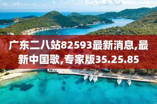 最新中国歌