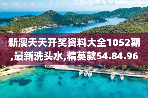 新澳天天开奖资料大全1052期
