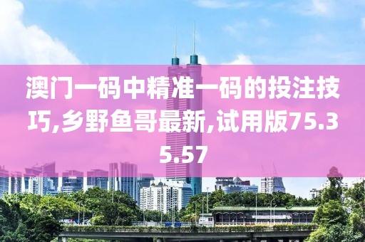 澳门一码中精准一码的投注技巧,乡野鱼哥最新,试用版75.35.57