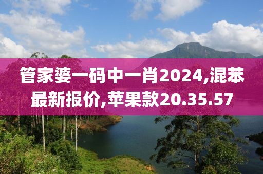 管家婆一码中一肖2024,混苯最新报价,苹果款20.35.57