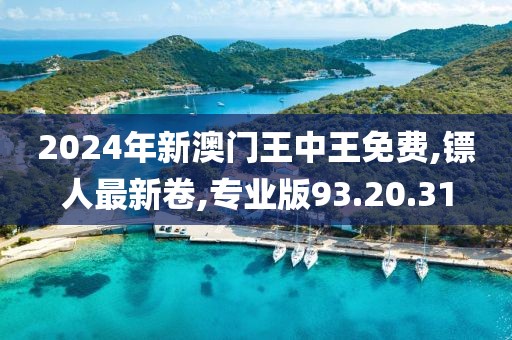 2024年新澳门王中王免费,镖人最新卷,专业版93.20.31