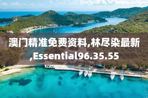 澳门精准免费资料,林尽染最新,Essential96.35.55