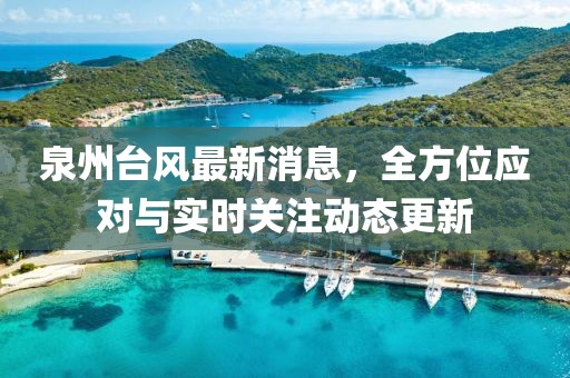 泉州台风最新消息，全方位应对与实时关注动态更新