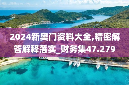 2024新奥门资料大全,精密解答解释落实_财务集47.279