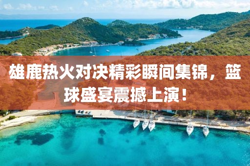 雄鹿热火最新集锦