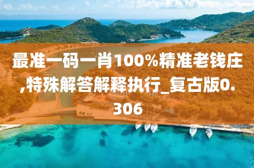 最准一码一肖100%精准老钱庄,特殊解答解释执行_复古版0.306