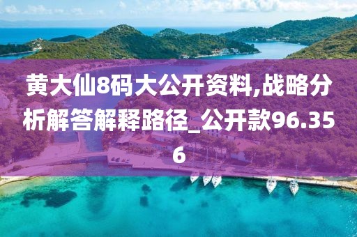 黄大仙8码大公开资料,战略分析解答解释路径_公开款96.356
