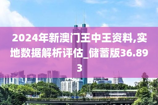 2024年新澳门王中王资料,实地数据解析评估_储蓄版36.893